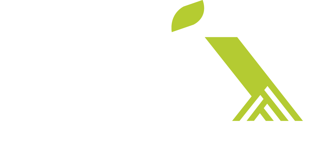 Logo Raix